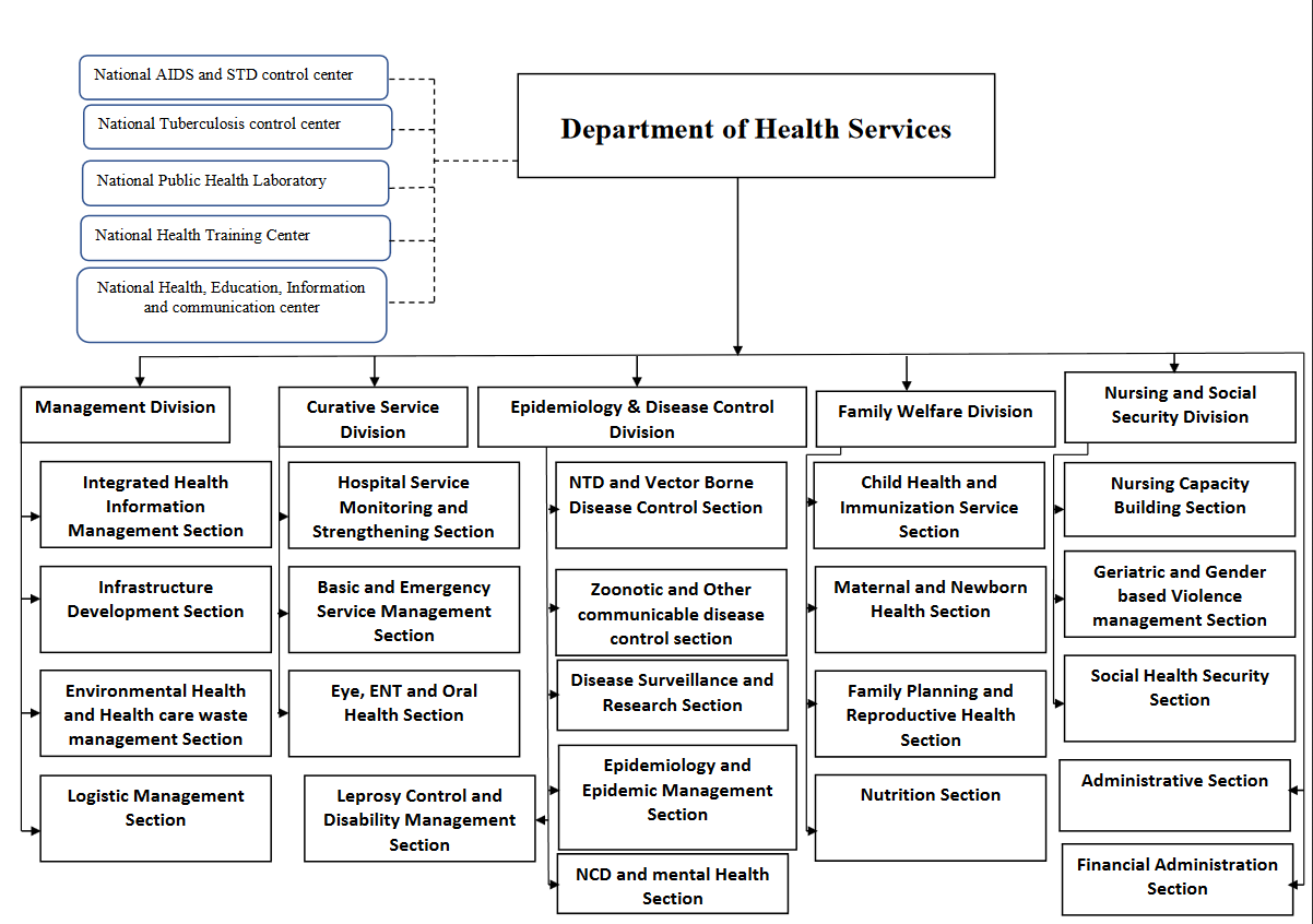 Organization Structure & DoHS Staff Profile